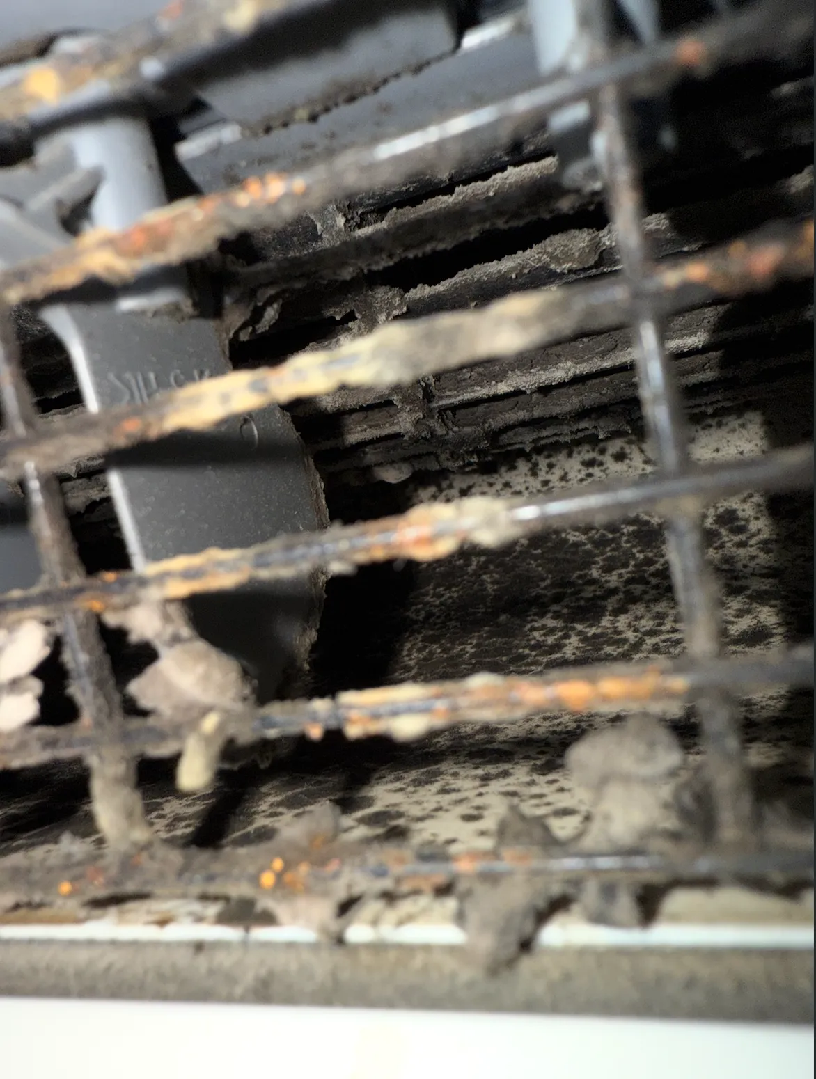 Close-up of a mini-split blower wheel and coil caked with dust and grime before cleaning