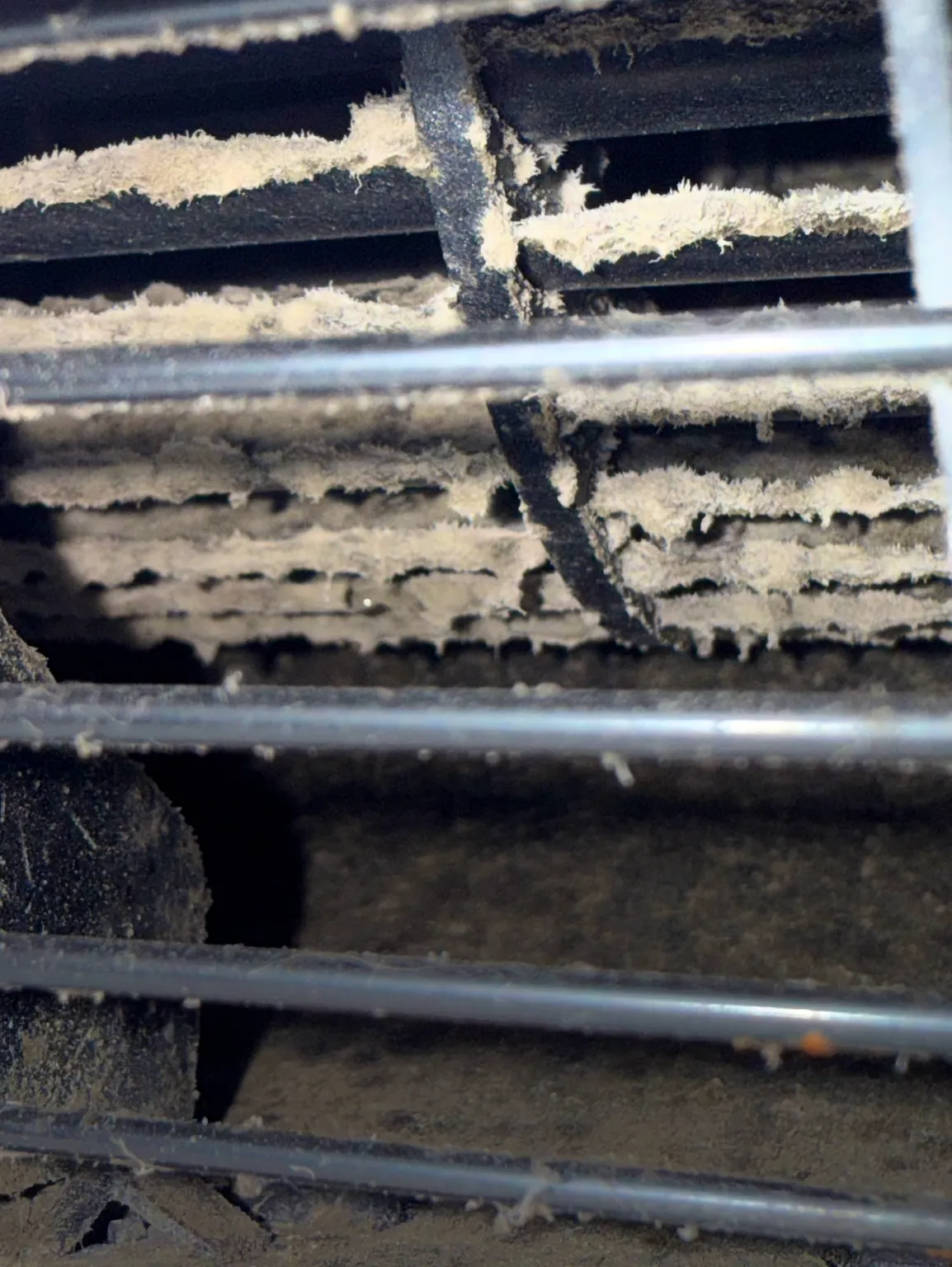 A mini-split coil and fan heavily coated with dust and debris before cleaning